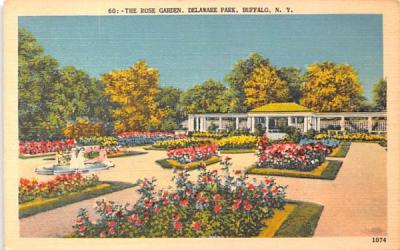 The Rose Garden Buffalo, New York Postcard