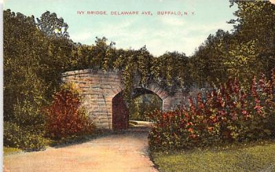 Ivy Bridge Buffalo, New York Postcard