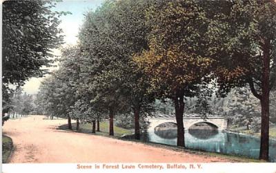 Forest Lawn Cemetery Buffalo, New York Postcard