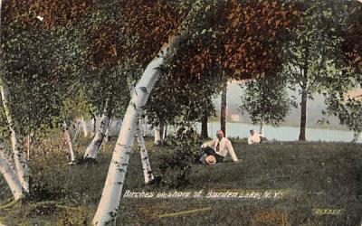 Birches on Shore Burden Lake, New York Postcard