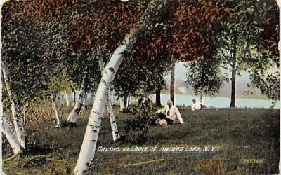 Birches on Shore Burden Lake, New York Postcard