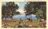 Lake Chautauqua Bemus Point, New York Postcard
