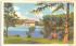 Cazenovia Park Lake & Casino Buffalo, New York Postcard