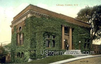 Library - Catskill, New York NY Postcard