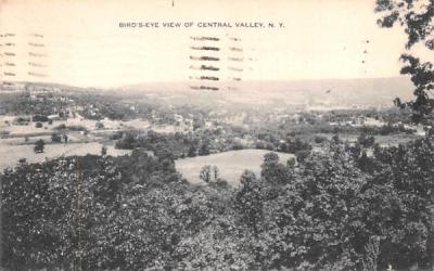 Bird's Eye View Central Valley, New York Postcard