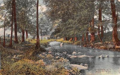 Along the Brook Chester, New York Postcard