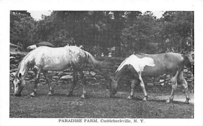 Paradise Farm Cuddebackville, New York Postcard
