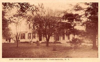 Residence of Mrs Alice Vaninwegen Cuddebackville, New York Postcard