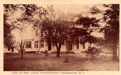 Residence of Mrs Alice Vaninwegen Cuddebackville, New York Postcard