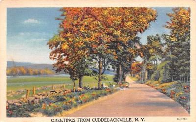 Greetings from Cuddebackville, New York Postcard