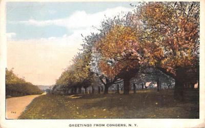 Greetings From Congers, New York Postcard