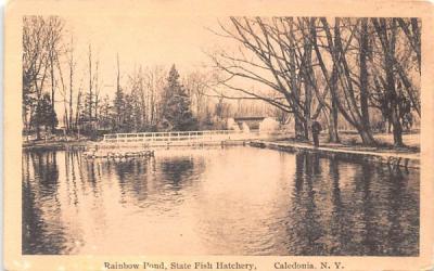 Rainbow Pond Caledonia, New York Postcard