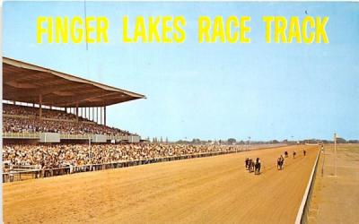 Finger Lakes Race Track Canandaigua, New York Postcard