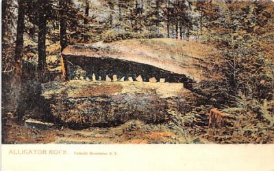 Alligator Rock Catskill Mountains, New York Postcard