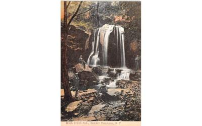 Black Crook Falls Catskill Mountains, New York Postcard