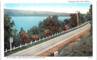 Finger Lakes Region of Central New York Postcard