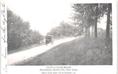 Cayuga Lake House New York Postcard