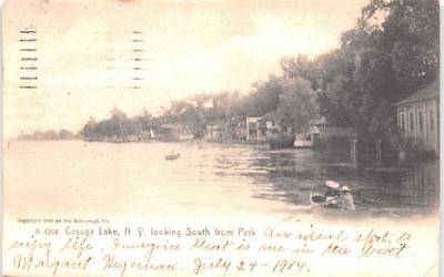 Looking South from Park Cayuga Lake, New York Postcard