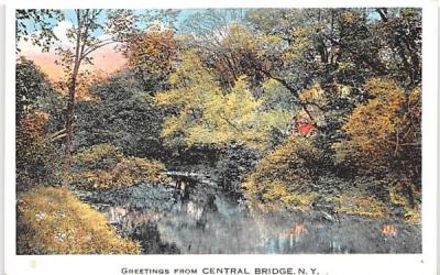 Greetings from Central Bridge, New York Postcard