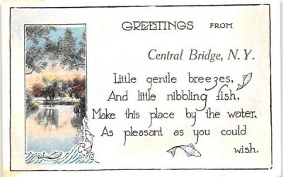 Greetings from Central Bridge, New York Postcard