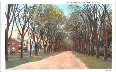 Payn Avenue Chatham, New York Postcard
