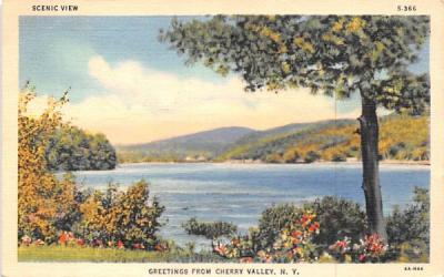 Scenic View Cherry Valley, New York Postcard