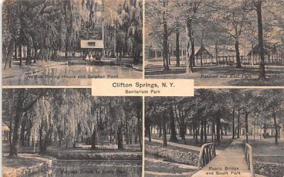 Sanitarium Park Clifton Springs, New York Postcard