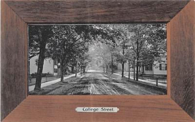 College Street Clinton, New York Postcard