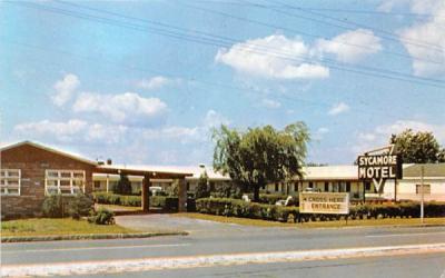Sycamore Motel Cohoes, New York Postcard