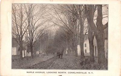 Maple Avenue Conklingville, New York Postcard