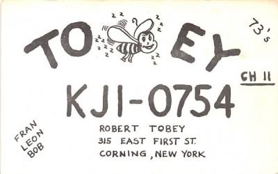 TOEY KJI Corning, New York Postcard