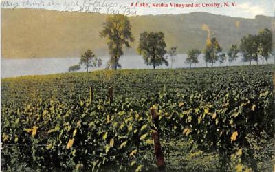 Lake Crosby, New York Postcard
