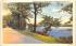 Lakeside Drive Chautauqua, New York Postcard