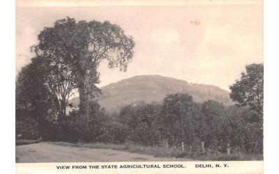 View From State Agricultural School Delhi, New York Postcard