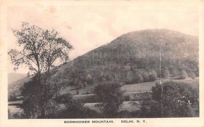 Boomhower Mountain Delhi, New York Postcard