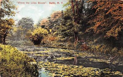 Where the Lilies Bloom Delhi, New York Postcard