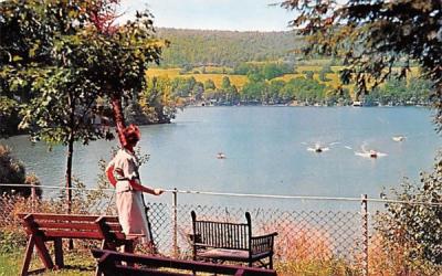Goodyear Lake Delhi, New York Postcard