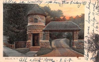 Woodland Cemetery Delhi, New York Postcard