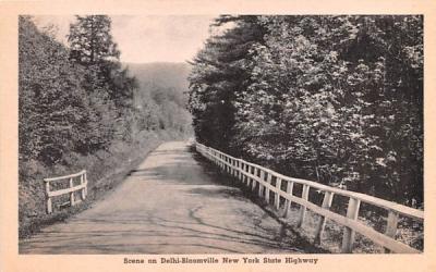 Delhi Bloomville New York State Highway Postcard