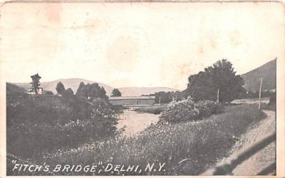 Fitch's Bridge Delhi, New York Postcard