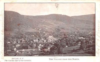 Village from the North Delhi, New York Postcard