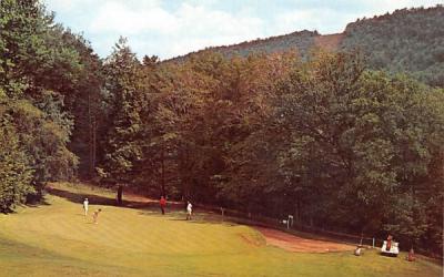 Golf in the Mountains Delhi, New York Postcard