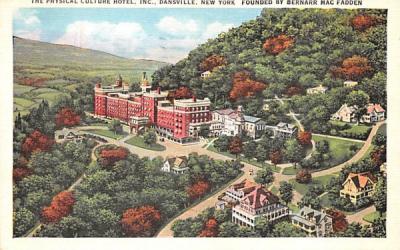 Physical Culture Hotel Dansville, New York Postcard