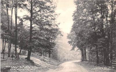 Wheeler's Grove & State Road Deposit, New York Postcard