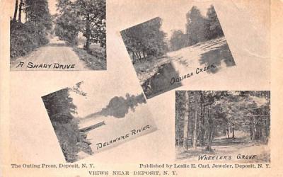 Shady Drive, Delaware River Deposit, New York Postcard