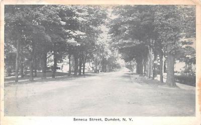 Seneca Street Dundee, New York Postcard