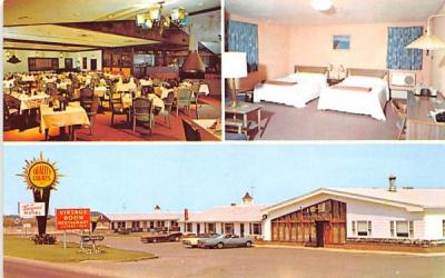 Vineyard Motel Dunkirk, New York Postcard
