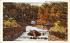 Stony Brook Park Dansville, New York Postcard