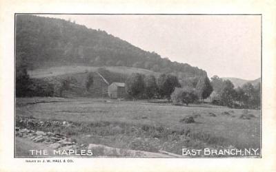 The Maples East Branch, New York Postcard