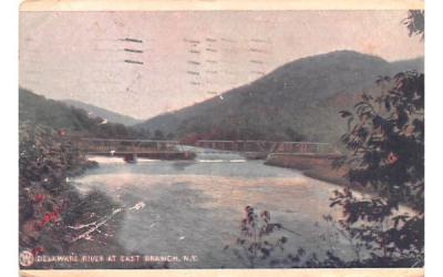 Delaware River East Branch, New York Postcard